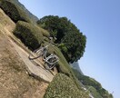 どんな話でもお聞きいたします 人の話を聞くのが好きです。頷きのスペシャリストです。 イメージ1