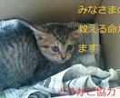 生きていれば下の世話も必要です。躾け方探します 良きパートナーになる為には、正しい接し方を学びましょう。 イメージ4