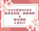 助成金対応の就業規則・賃金規程を整備します 助成金と労務リスクに強い就業規則を一括整備 イメージ3