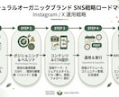 SNS戦略設計＆30日カレンダーを作成します 競合分析→30日設計→月次改善まで イメージ3