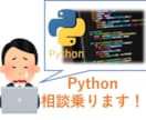 Python【初心者】相談のります 不明点などご理解頂けるまで説明します！コードのおまけ付き！ イメージ1