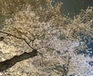 メール相談で、あなたの心の痛みが、少しでも楽になるようにお手伝いしたいです。 イメージ1