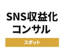 SNS収益化のための伴走型スポットコンサルします 【アカウント設計ご購入者様限定】 イメージ1