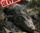 YouTubeショート動画を編集します スマホ1台でスピーディーに編集。 イメージ1