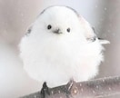 お悩み、相談、なんでも聞きます お話ししたいこと全部受け止めます イメージ1