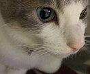 経験豊富なアラ還社長こばじぃがお話し伺います 鬱な気持ちに寄り添い、起業も視野に可能性を気付かせます。 イメージ1