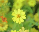 遠隔ヒーリングで「睡眠」+「回復」を支援します 一般的な「レイキ」と「輝けGOLDエネルギー」をミックス！ イメージ1