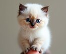 あなたのペット写真が動き出します 大切なペットの写真がまるで生きているように イメージ13