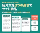 商品・サービスの紹介文を作成します 支給情報を整理し用途別の紹介文3種類に仕上げます イメージ1