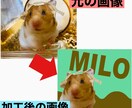 あなたの大切な家族の写真をイラスト化します 待ち受け画像、Tシャツなどのグッズ製作用にも！！ イメージ1