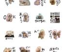 LINEスタンプ作ります 何気ない日常に、そっと幸せを。ぎゅっと想いを。 イメージ6