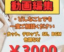 カット/テロップ/色調/SE、BGM、動画編集ます 簡単な動画編集を引き受けます。 イメージ1