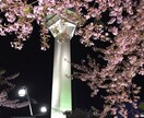 クーポン歓迎！北海道に憧れてる方へ情報お伝えします 北海道。住むには？転校させるには？疑問のご相談に乗ります イメージ5