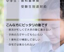ホームページ作ります どんなことをすればいいかわからないからお話うかがいます。 イメージ2