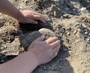 自然✖️アートの現場づくりをお手伝いします こどもも大人も呼吸できる現場へ イメージ5