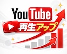youtubeの動画2000回再生回数伸ばします 2000回再生・30日間保証付き イメージ2