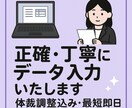 面倒なデータ入力を代行します 丁寧にデータ入力（お試し1,000文字まで1,500円） イメージ1
