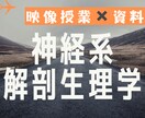 神経系解剖生理学をわかりやすく解説します 全国模試3位の私が、神経系解剖生理学をわかりやすく解説！ イメージ1