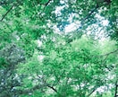 心の不安、楽にします 不安悲しみ苦しみ、気持ちを受け止めます。 イメージ1