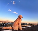 町絶景、町の食べ物、キャンプモノ画像あります なんでも使える“優しい画像“用意します イメージ3