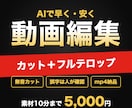 AIで安く早く、カットとテロップの編集をします 素材10分まで5,000円｜無音カット・フルテロップ込み イメージ1