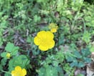 介護の悩み・愚痴、ゆっくりお聴きします 介護福祉士11年＋家族介護7年。心に寄り添うお悩み相談 イメージ1