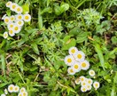 景色や花等、風景写真を撮っています 行けないところの景色を提供します。 イメージ1