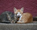 魂のつながり／あなたのソウルメイトを見つけます 彼との相性　レムリア龍神が導く【ツインレイ】 イメージ8