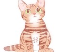 可愛い☆猫☆のイラストを描きます ☆ペットをイラストにしてみませんか？☆ イメージ5