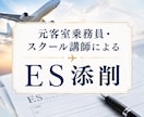 客室乗務員・グランドスタッフのESを添削します 元国内大手航空会社CA・スクール講師が丁寧にサポートします イメージ1