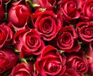 誰が何と言おうと❤️あなたは必ず幸せになれます ❤️あなたの幸せは❤️あなたが決めればいいんです‼️ イメージ9