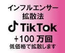 TikTokで＋100万回再生されるまで拡散します インフルエンサーがオススメする拡散方法 イメージ1