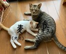 障がいを持ってるお母さんの話を聞きます 人に話すとスッキリしますよちゃんと相談にものります安心してね イメージ2