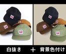 格安で背景白抜き、透明化、カラー背景いたします ※お見積もりしますのでまずはご連絡下さい イメージ3