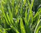 １分だけでもお気軽に☆あなたに寄り添いお話聴きます ただ聴いてほしいアドバイスが欲しい褒めて欲しい、何でもOK♡ イメージ5