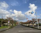 写真撮影代行【奄美大島】承ります fakephotograph 1枚1枚心を込めて✧*｡ イメージ4