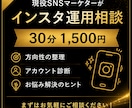 現役SNSマーケターがインスタ運用相談に乗ります 投稿内容・方向性・お悩みを30分で一緒に整理します イメージ1