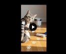 e-ラーニング｜最新動画生成AIの使い方を教えます AI動画制作の「核」を短時間で習得！【ノウハウ直行型】 イメージ2