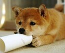 リフレッシュ！貴方のお話し相手になります 抱え込まないで！誰かに頼る事も大事だよ´ω`* イメージ6