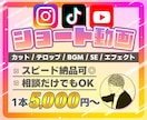 丸投げ | SNSショート動画を編集します TikTok,Instagram,YouTubeなど各SNS イメージ1
