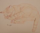 動物の似顔絵描きます シンプルで優しいペットの似顔絵描きます イメージ6