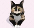 写真から可愛いリアルなペット似顔絵を描きます 可愛いペットのSNSアイコンやオリジナルグッズ制作に！ イメージ1