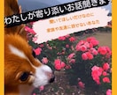 小さい愚痴〜大きい愚痴まで寄り添ってお話聞きます 介護疲れ／仕事の人間関係／恋愛／家族等日常の愚痴をためないで イメージ1