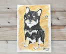 優しい水彩画タッチのうちの子似顔絵イラスト描きます ペット専門似顔絵師が優しいタッチの似顔絵製作 イメージ3