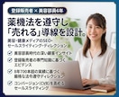 登録販売者が薬機法遵守の美容健康記事を制作します 美容部員6年×登録販売者！売れる訴求と厳格な法令遵守を両立 イメージ1