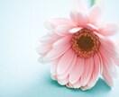 愚痴やなんでも相談にのります 今の環境での溜まってる愚痴や日常での人との相談にのります。 イメージ1