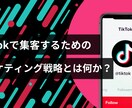 元TikTok社員が正しいSNS運用を教えます 企業アカウントの運用を成功させる方法を教えます イメージ2
