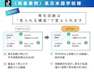 SNSコンサル｜外国人向けSNSで集客支援します 海外集客・インバウンド対策｜外国人向けSNS集客コンサル イメージ7