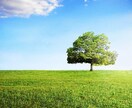 対人ストレスや劣等感に対する悩みを軽減いたします こころの中の 不要な荷物を降ろすためのお手伝いをします！ イメージ1