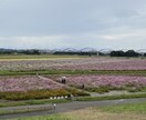 介護でお困りの方のお話を聞きます 今までの経験などを踏まえてお答えできればと思います。 イメージ1